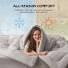 imageBedsure Comforter Duvet Insert  Quilted Comforters Twin XL Size All Season Duvet GentleSoft Down Alternative Bedding Blanket with 8 Tabs Gifts for WomenMen Red Twin XL 92 x 68 InchesLight Grey