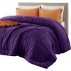 imageBedsure Comforter Duvet Insert  Quilted Comforters Twin XL Size All Season Duvet GentleSoft Down Alternative Bedding Blanket with 8 Tabs Gifts for WomenMen Red Twin XL 92 x 68 InchesPurple