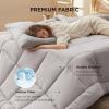 imageBedsure Comforter Duvet Insert  Quilted Comforters Twin XL Size All Season Duvet GentleSoft Down Alternative Bedding Blanket with 8 Tabs Gifts for WomenMen Red Twin XL 92 x 68 InchesLight Grey