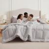 imageBedsure Comforter Duvet Insert  Quilted Comforters Twin XL Size All Season Duvet GentleSoft Down Alternative Bedding Blanket with 8 Tabs Gifts for WomenMen Red Twin XL 92 x 68 InchesLight Grey