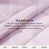 imageBedsure Comforter Duvet Insert  Quilted Comforters Twin XL Size All Season Duvet GentleSoft Down Alternative Bedding Blanket with 8 Tabs Gifts for WomenMen Red Twin XL 92 x 68 InchesLight Purple