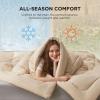 imageBedsure Comforter Duvet Insert  Quilted Comforters Twin XL Size All Season Duvet GentleSoft Down Alternative Bedding Blanket with 8 Tabs Gifts for WomenMen Red Twin XL 92 x 68 InchesBeige