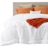imageBedsure Comforter Duvet Insert  Quilted Comforters Twin XL Size All Season Duvet GentleSoft Down Alternative Bedding Blanket with 8 Tabs Gifts for WomenMen Red Twin XL 92 x 68 InchesWhite