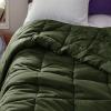 imageBedsure Comforter Duvet Insert  Quilted Comforters Twin XL Size All Season Duvet GentleSoft Down Alternative Bedding Blanket with 8 Tabs Gifts for WomenMen Red Twin XL 92 x 68 InchesOlive Green