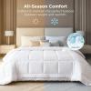 imageBedsure Comforter Duvet Insert  Quilted Comforters Twin XL Size All Season Duvet GentleSoft Down Alternative Bedding Blanket with 8 Tabs Gifts for WomenMen Red Twin XL 92 x 68 InchesWhite