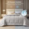 imageBedsure Comforter Duvet Insert  Quilted Comforters Twin XL Size All Season Duvet GentleSoft Down Alternative Bedding Blanket with 8 Tabs Gifts for WomenMen Red Twin XL 92 x 68 InchesLight Grey