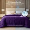 imageBedsure Comforter Duvet Insert  Quilted Comforters Twin XL Size All Season Duvet GentleSoft Down Alternative Bedding Blanket with 8 Tabs Gifts for WomenMen Red Twin XL 92 x 68 InchesPurple