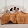 imageBedsure Comforter Duvet Insert  Quilted Comforters Twin XL Size All Season Duvet GentleSoft Down Alternative Bedding Blanket with 8 Tabs Gifts for WomenMen Red Twin XL 92 x 68 InchesBurnt Orange