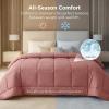 imageBedsure Comforter Duvet Insert  Quilted Comforters Twin XL Size All Season Duvet GentleSoft Down Alternative Bedding Blanket with 8 Tabs Gifts for WomenMen Red Twin XL 92 x 68 InchesDusty Pink