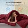 imageBedsure Comforter Duvet Insert  Quilted Comforters Twin XL Size All Season Duvet GentleSoft Down Alternative Bedding Blanket with 8 Tabs Gifts for WomenMen Red Twin XL 92 x 68 InchesRed