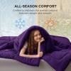imageBedsure Comforter Duvet Insert  Quilted Comforters Twin XL Size All Season Duvet GentleSoft Down Alternative Bedding Blanket with 8 Tabs Gifts for WomenMen Red Twin XL 92 x 68 InchesPurple