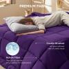 imageBedsure Comforter Duvet Insert  Quilted Comforters Twin XL Size All Season Duvet GentleSoft Down Alternative Bedding Blanket with 8 Tabs Gifts for WomenMen Red Twin XL 92 x 68 InchesPurple