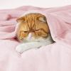 imageBedsure GentleSoft Fleece Throw Blanket for Couch Oxford Tan  Lightweight Plush Fuzzy Cozy Soft Blankets and Throws for Sofa 50x60 inches05  Pink