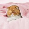 imageBedsure GentleSoft Fleece Throw Blanket for Couch Oxford Tan  Lightweight Plush Fuzzy Cozy Soft Blankets and Throws for Sofa 50x60 inches05  Pink