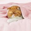 imageBedsure GentleSoft Fleece Throw Blanket for Couch Oxford Tan  Lightweight Plush Fuzzy Cozy Soft Blankets and Throws for Sofa 50x60 inches05  Pink