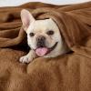 imageBedsure GentleSoft Fleece Throw Blanket for Couch Oxford Tan  Lightweight Plush Fuzzy Cozy Soft Blankets and Throws for Sofa 50x60 inchesBurnt Brown