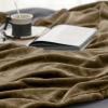 imageBedsure GentleSoft Fleece Throw Blanket for Couch Oxford Tan  Lightweight Plush Fuzzy Cozy Soft Blankets and Throws for Sofa 50x60 inchesCamel