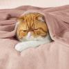 imageBedsure GentleSoft Fleece Throw Blanket for Couch Oxford Tan  Lightweight Plush Fuzzy Cozy Soft Blankets and Throws for Sofa 50x60 inchesDusty Pink