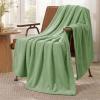 imageBedsure GentleSoft Fleece Throw Blanket for Couch Oxford Tan  Lightweight Plush Fuzzy Cozy Soft Blankets and Throws for Sofa 50x60 inchesEmerald