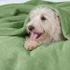 imageBedsure GentleSoft Fleece Throw Blanket for Couch Oxford Tan  Lightweight Plush Fuzzy Cozy Soft Blankets and Throws for Sofa 50x60 inchesEmerald
