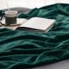 imageBedsure GentleSoft Fleece Throw Blanket for Couch Oxford Tan  Lightweight Plush Fuzzy Cozy Soft Blankets and Throws for Sofa 50x60 inchesForest Green