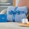 imageBedsure GentleSoft Fleece Throw Blanket for Couch Oxford Tan  Lightweight Plush Fuzzy Cozy Soft Blankets and Throws for Sofa 50x60 inchesLight Blue