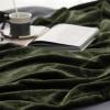imageBedsure GentleSoft Fleece Throw Blanket for Couch Oxford Tan  Lightweight Plush Fuzzy Cozy Soft Blankets and Throws for Sofa 50x60 inchesOlive Green