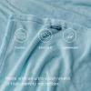 imageBedsure GentleSoft Fleece Throw Blanket for Couch Oxford Tan  Lightweight Plush Fuzzy Cozy Soft Blankets and Throws for Sofa 50x60 inchesRiver Blue
