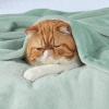 imageBedsure GentleSoft Fleece Throw Blanket for Couch Oxford Tan  Lightweight Plush Fuzzy Cozy Soft Blankets and Throws for Sofa 50x60 inchesSage Green