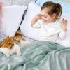 imageBedsure GentleSoft Fleece Throw Blanket for Couch Oxford Tan  Lightweight Plush Fuzzy Cozy Soft Blankets and Throws for Sofa 50x60 inchesSage Green
