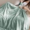imageBedsure GentleSoft Fleece Throw Blanket for Couch Oxford Tan  Lightweight Plush Fuzzy Cozy Soft Blankets and Throws for Sofa 50x60 inchesSage Green