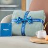 imageBedsure GentleSoft Fleece Throw Blanket for Couch Oxford Tan  Lightweight Plush Fuzzy Cozy Soft Blankets and Throws for Sofa 50x60 inchesSage Green