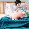 imageBedsure GentleSoft Fleece Throw Blanket for Couch Oxford Tan  Lightweight Plush Fuzzy Cozy Soft Blankets and Throws for Sofa 50x60 inchesTeal Blue