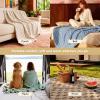 imageBedsure GentleSoft Twin Blanket for Bed  Super Soft Cozy Blankets for Kids Girls Cute Fuzzy Fleece Throws for Bedroom Couch Light Yellow 60x80 Inches01 Sage Green