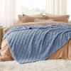 imageBedsure GentleSoft Twin Blanket for Bed  Super Soft Cozy Blankets for Kids Girls Cute Fuzzy Fleece Throws for Bedroom Couch Light Yellow 60x80 Inches02 Ashley Blue
