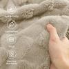 imageBedsure GentleSoft Twin Blanket for Bed  Super Soft Cozy Blankets for Kids Girls Cute Fuzzy Fleece Throws for Bedroom Couch Light Yellow 60x80 Inches04 Neutral Beige