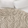 imageBedsure GentleSoft Twin Blanket for Bed  Super Soft Cozy Blankets for Kids Girls Cute Fuzzy Fleece Throws for Bedroom Couch Light Yellow 60x80 Inches04 Neutral Beige