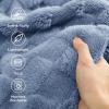 imageBedsure GentleSoft Twin Blanket for Bed  Super Soft Cozy Blankets for Kids Girls Cute Fuzzy Fleece Throws for Bedroom Couch Light Yellow 60x80 Inches02 Ashley Blue