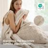 imageBedsure GentleSoft Twin Blanket for Bed  Super Soft Cozy Blankets for Kids Girls Cute Fuzzy Fleece Throws for Bedroom Couch Light Yellow 60x80 InchesBeige
