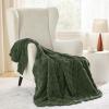 imageBedsure GentleSoft Twin Blanket for Bed  Super Soft Cozy Blankets for Kids Girls Cute Fuzzy Fleece Throws for Bedroom Couch Light Yellow 60x80 InchesBronze Green