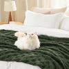 imageBedsure GentleSoft Twin Blanket for Bed  Super Soft Cozy Blankets for Kids Girls Cute Fuzzy Fleece Throws for Bedroom Couch Light Yellow 60x80 InchesBronze Green