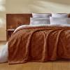 imageBedsure GentleSoft Twin Blanket for Bed  Super Soft Cozy Blankets for Kids Girls Cute Fuzzy Fleece Throws for Bedroom Couch Light Yellow 60x80 InchesBurnt Orange