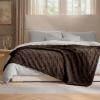 imageBedsure GentleSoft Twin Blanket for Bed  Super Soft Cozy Blankets for Kids Girls Cute Fuzzy Fleece Throws for Bedroom Couch Light Yellow 60x80 InchesChocolate