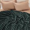 imageBedsure GentleSoft Twin Blanket for Bed  Super Soft Cozy Blankets for Kids Girls Cute Fuzzy Fleece Throws for Bedroom Couch Light Yellow 60x80 InchesDark Green
