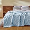 imageBedsure GentleSoft Twin Blanket for Bed  Super Soft Cozy Blankets for Kids Girls Cute Fuzzy Fleece Throws for Bedroom Couch Light Yellow 60x80 InchesLight Blue