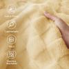 imageBedsure GentleSoft Twin Blanket for Bed  Super Soft Cozy Blankets for Kids Girls Cute Fuzzy Fleece Throws for Bedroom Couch Light Yellow 60x80 InchesLight Yellow