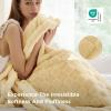 imageBedsure GentleSoft Twin Blanket for Bed  Super Soft Cozy Blankets for Kids Girls Cute Fuzzy Fleece Throws for Bedroom Couch Light Yellow 60x80 InchesLight Yellow