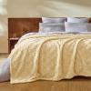 imageBedsure GentleSoft Twin Blanket for Bed  Super Soft Cozy Blankets for Kids Girls Cute Fuzzy Fleece Throws for Bedroom Couch Light Yellow 60x80 InchesLight Yellow