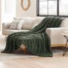 imageBedsure GentleSoft Twin Blanket for Bed  Super Soft Cozy Blankets for Kids Girls Cute Fuzzy Fleece Throws for Bedroom Couch Light Yellow 60x80 InchesOlive Green