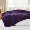 imageBedsure GentleSoft Twin Blanket for Bed  Super Soft Cozy Blankets for Kids Girls Cute Fuzzy Fleece Throws for Bedroom Couch Light Yellow 60x80 InchesPurple